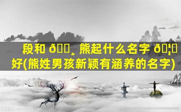 段和 🕸 熊起什么名字 🦄 好(熊姓男孩新颖有涵养的名字)